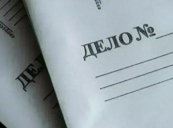 Против журналистки Татьяны Фельгенгауэр* завели уголовное дело