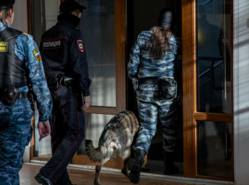 Третье уголовное дело возбудили против блогера Тамары Эйдельман*