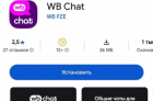 Wildberries запустил собственный мессенджер&nbsp;WB Chat