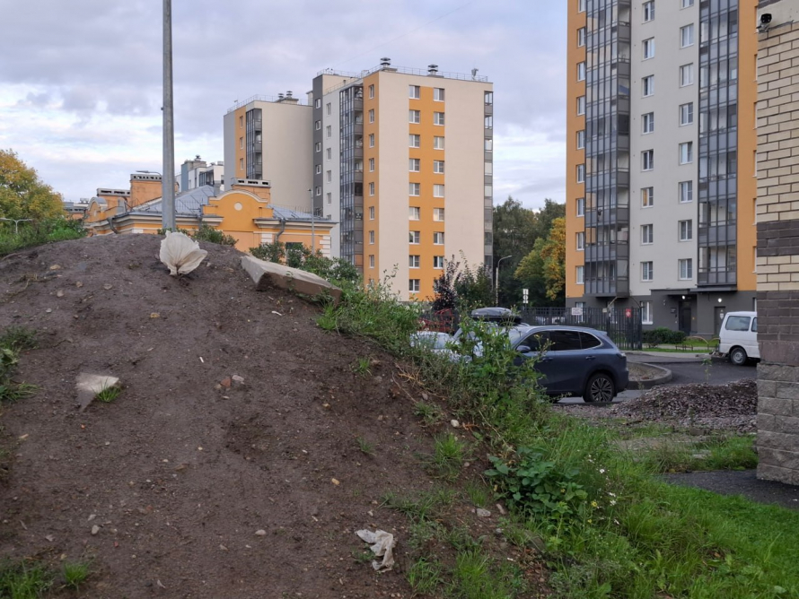 Фото: Анастасия Долгошёва